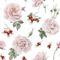 Rose hip pink flowers with buds, red berries and leaves, watercolor seamless pattern on white background. Royalty Free Stock Photo