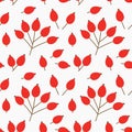 Rose hip red fruits autumn seamless pattern Royalty Free Stock Photo