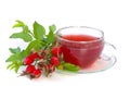 Rose hip tea 02 Royalty Free Stock Photo