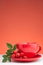 Rose Hip Tea Royalty Free Stock Photo