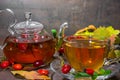 Rose hip tea in transparent cup with teapot and autumn leaves Royalty Free Stock Photo