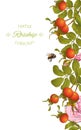 Rose hip vertical banner