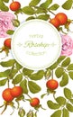 Rose hip vertical banner