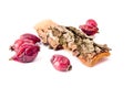 Rose hips Royalty Free Stock Photo