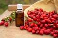 Rose-hips and rose hip seed oil on the wooden table. Rose hip  commonly known as rose hip Rosa canina. Royalty Free Stock Photo