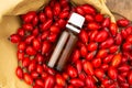 Rose-hips and rose hip seed oil on the wooden table. Rose hip  commonly known as rose hip Rosa canina. Royalty Free Stock Photo