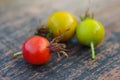 Rose-hips on a wooden surface Royalty Free Stock Photo