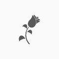 Rose icon, flower, flora, blossom, bloom