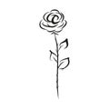Rose icon hand drawing, vector illustration isolated on white background
