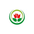 Rose icon logo design vector template Royalty Free Stock Photo