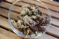 Rose of Jericho Anastatica hierochuntica plant in glass bowl. Its opening moment Royalty Free Stock Photo