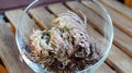 Rose of Jericho Anastatica hierochuntica plant in glass bowl. It starting to open