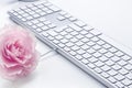 Rose and keyboard computer Royalty Free Stock Photo