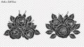 Rose lace ornament vector by hand drawing Royalty Free Stock Photo