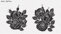 Rose lace ornament vector by hand drawing
