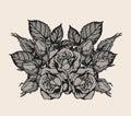 Rose lace vector by hand drawing.