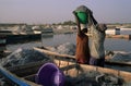 Rose lake - Senegal