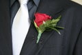 Rose lapel suit Royalty Free Stock Photo