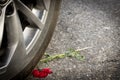 A rose is laying on the pavement in a parking lot flattened by a tire. Royalty Free Stock Photo