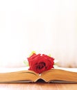 The rose lays on the book