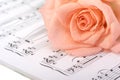 The rose lays on a musical book