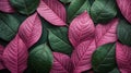 Rose leaf pattern, fancy pink green color palette, studio lighti Royalty Free Stock Photo