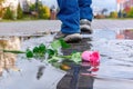 A rose lies in a puddle against the background of passers-by