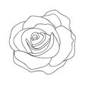 Rose line drawing image