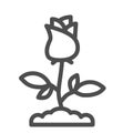 Rose line icon, Floral concept, Rose blossom with leaves sign on white background, Single rose flower icon in outline Royalty Free Stock Photo