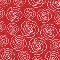 Rose line pattern on white background Royalty Free Stock Photo