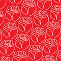 Rose line pattern on white background Royalty Free Stock Photo