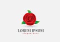 Red rose realistic logo vector