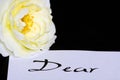 Rose on love letter Royalty Free Stock Photo