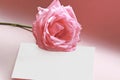 Rose on a love note Royalty Free Stock Photo