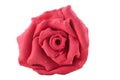 Rose made from clay
