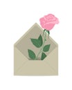 Rose in the mail envelope. Flower delivery concept