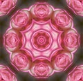 Rose mandala Royalty Free Stock Photo