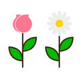 Rose, maybe tulip and chamomile. Flat vector icons isolated on white