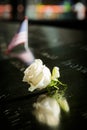 A rose at the 9/11 memorial, New York