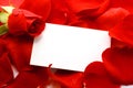 Rose and message on a petals. Background