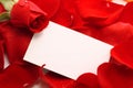 Rose and message on a petals. Background