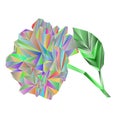 Rose multicolored blossoms stem with leaves polygons vector illustration abstract editable hand draw