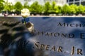 A rose on the mural of the One World Trade Center, the symbolic building of the twin towers of New York.