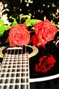 Rose on music, symbols Royalty Free Stock Photo