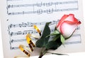 Rose on a musical paper