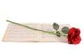 The rose on notebooks with notes