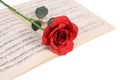 The rose on notebooks with notes