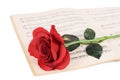 The rose on notebooks with notes