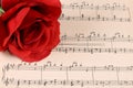 The rose on notebooks with notes