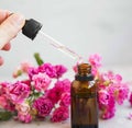 Rose oil bottle and dropper, aromatherapy and spa with roses flowers, spa setting Royalty Free Stock Photo